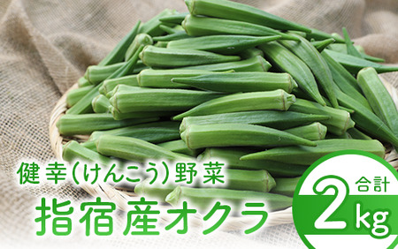指宿(いぶすき)産オクラ2kg(オネファーム/010-461) 野菜 夏野菜 旬 特産 夏 新鮮 オクラ 鹿児島 オネファーム 指宿市 漬物 お福分け おすそ分け