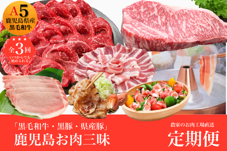 [全3回定期便]鹿児島お肉三昧定期便 農家のお肉工場直送!(水迫畜産/Z030-548)M19 肉 牛 牛肉 豚 黒豚 生ハム 切り落とし すき焼き しゃぶしゃぶ 生姜焼き ロース バラ サーロイン 薄切り 鹿児島 いぶすき