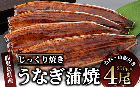 【鹿児島県産】うなぎ蒲焼じっくり焼き約250g×4尾 木目化粧箱入り(大新/038-1108) 鰻 蒲焼 うなぎ 鰻 国産 うなぎ 鰻  丑の日 うな重 無頭 うなぎ 鰻 ギフト うなぎ 鰻 ふっくら うなぎ 鰻 小分け うなぎ 鰻 レンジ うなぎ 鰻 簡単