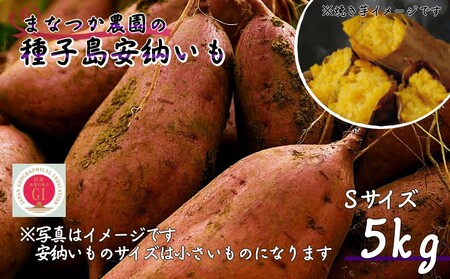 [ 新物 ・ 先行予約中 ] 種子島 まなつか農園 種子島安納いも ( 生いも ) Sサイズ NFN486[300pt]