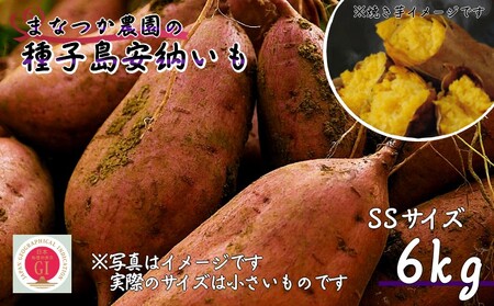 [ 新物 ・ 先行予約中 ] まなつか農園の 種子島 安納いも (生いも) SSサイズ 6kg NFN550 [300pt]