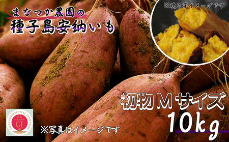 種子島 まなつか農園 安納いも ( 生いも ) Mサイズ 10kg NFN002[575pt]
