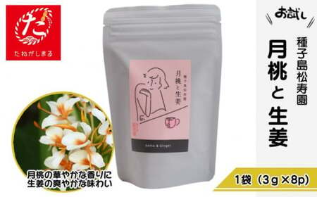 [たねがしまる4000] 種子島 松寿園 香る 紅茶 フレーバーティー 「 月桃 と 生姜 」1袋 NFN924[100pt]