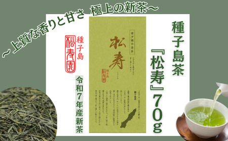 希少品種 種子島 茶 「 松寿 」1袋 NFN613[175pt]// 新茶 緑茶