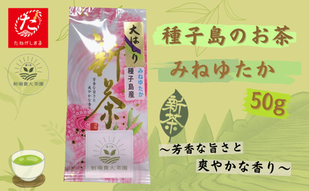 [たねがしまる4000]希少品種「みねゆたか」 新茶 緑茶 NFN943[100pt]