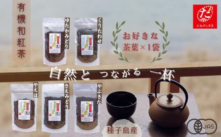 [たねがしまる4000]種子島 の 選べる 有機 和紅茶 茶葉 (リーフ)1種