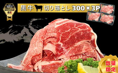    ؂藎Ƃ Zbg v900kgyJ-1901z NFN630 y450ptz