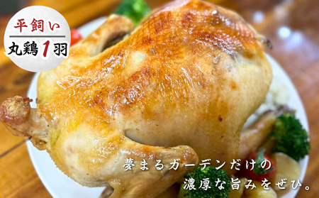 種子島 夢まるガーデン 若鶏 1羽分 NFN636 [600pt]// クリスマス用 ローストチキン 骨付きチキン