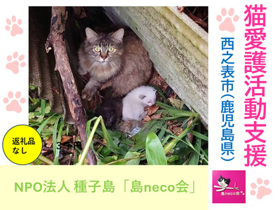 【返礼品なし】猫愛護活動支援 NFN642 【100PT】// 特定非営利活動法人　種子島 島neco会