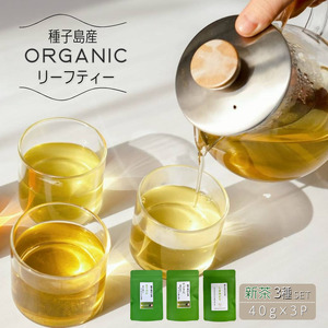 [ 先行予約 ] 種子島 有機 リーフ 茶セット(やぶきた・しまみどり・あさのか) NFN667[150pt] // オーガニック 農薬不使用 一番茶 自園自製 手作業