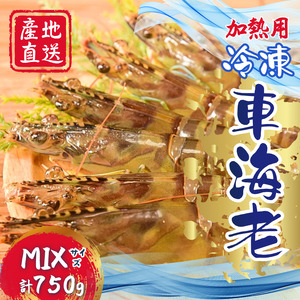 種子島 産 車えび M L 3L サイズミックス 冷凍 車海老 (250g×3袋) 計750g NFN671 [450pt] // 黒潮 活きえび 急速冷凍 真空パック冷凍 加熱用 甘み 旨み 新鮮 ぷりっぷり 250g 小分け 塩焼き 海老フライ 天ぷら エビチリ