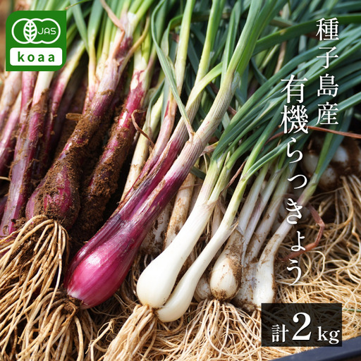 赤&白 有機 オーガニック らっきょう 詰合せ セット 誠農園 ( 種子島 JAS 根つき 生らっきょう) 2kg NFN673[400pt] // 有機栽培 オーガニック 安心 安全 栄養価が高い 健康食材 甘酢 キムチ等の漬物 天ぷら