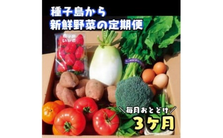 [3か月 定期便 ] 種子島 の新鮮 野菜 と 果物 7〜10品 鶏卵 セット NFN475 [975pt] // 野菜セット 詰め合わせ定期便 詰め合わせ