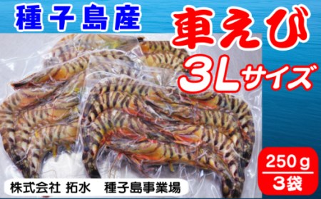 種子島 産 車えび 3L サイズ 冷凍 車海老 (250g×3袋) 計750g NFN427 [500pt] // 種子島 車えび 車海老 エビ 海老 エビ 海老 