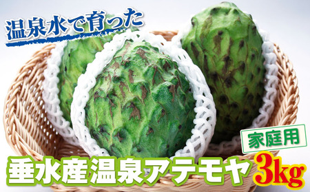 B2-22135^yƒpz YAe 3kg X̃ACXN[ 󏭂ȍYAe 󂠂