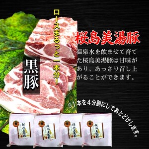 鹿児島県産 黒豚 桜島美湯豚 ロース ブロック 4kg (4分割)