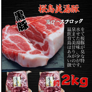 鹿児島県産 黒豚 桜島美湯豚 肩ロース ブロック 2kg (2分割)