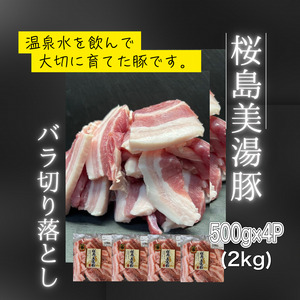 鹿児島県産 桜島美湯豚 バラ 切り落とし 2kg (500g×4パック)