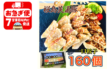 A1-0420／鹿児島県産桜島美湯豚　一口餃子　160個(20個×8パック)