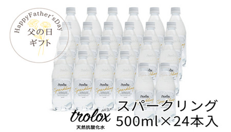 B2-5026-fa/[父の日ギフト]トロロックス スパークリング(500ml×24本)