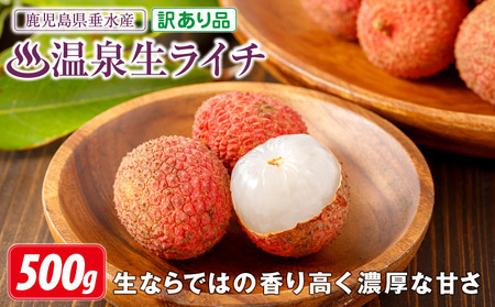 A1-22545／【 訳あり品 】【 期間限定 】 生ライチ 500g 訳あり 温泉水で育てた希少な 国産 ライチ