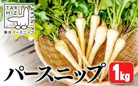 A1-5712／パースニップ　1kg