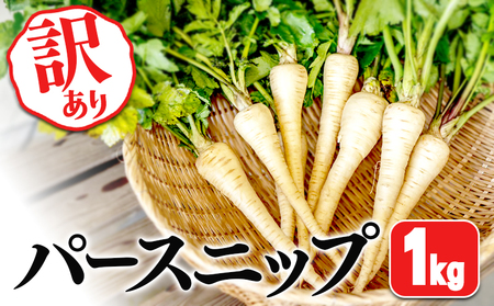 [訳あり]パースニップ 1kg