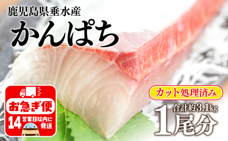 E5-2601^ɏJp` (JO4kgۏ) 1 / Jbg