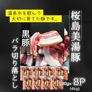 C3-0405^Y@؁@o ؂藎Ƃ@4kg (500g×8pbN)
