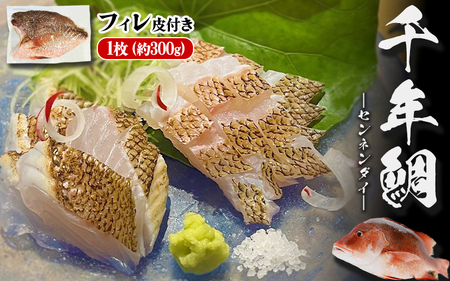 康秀の千年鯛 フィレ 皮つき 1枚(約300g)