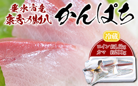 康秀の勘八 ロイン 4柵 + カマ 2個(計約1.8kg)冷蔵