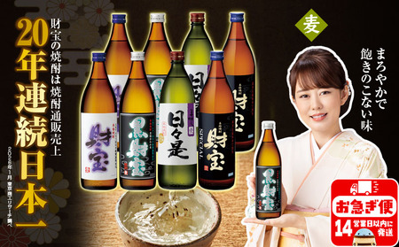 [麦焼酎]5合瓶 4種8本 温泉水 財宝 鹿児島 焼酎 お酒