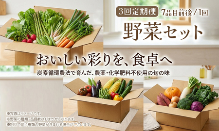 B2-7805　【3回定期便】野菜セット（7品目前後/1回）