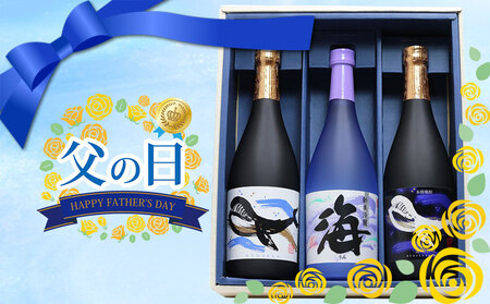B2-25176-fa2026/[2026父の日ギフト]大海酒造 720ml 3本セット