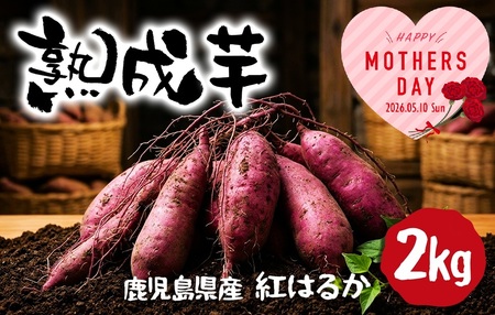 W-2105-mo2026/[2026母の日ギフト]熟成芋 (紅はるか 生芋) 2kg