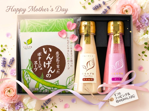 [2026母の日ギフト]ミニドレ・ソース&いんげんのポタージュ