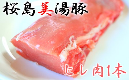 桜島美湯豚 ヒレ肉×1本