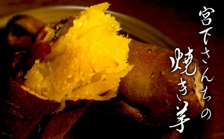 B2-2119／宮下さんちの焼き芋　驚きの甘さ 2.4kg