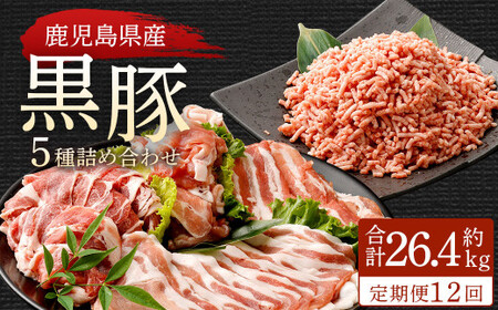 [12ヶ月定期便]鹿児島県産黒豚 5種詰合せ(約2.2kg×12回) 鹿児島 黒豚 豚肉 ロース 肩ロース 切り落とし ミンチ バラ KS-601