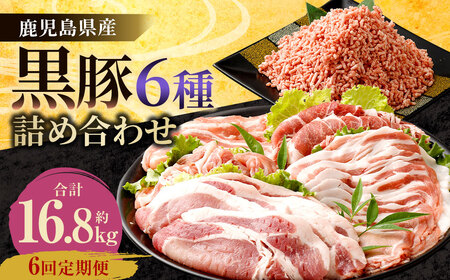 JS-810 y6ցzY 6l(2.8kg×6)