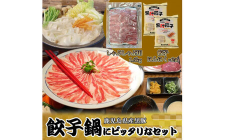 鹿児島県産黒豚 餃子鍋にピッタリなセット(にんにく) 合計約2kg