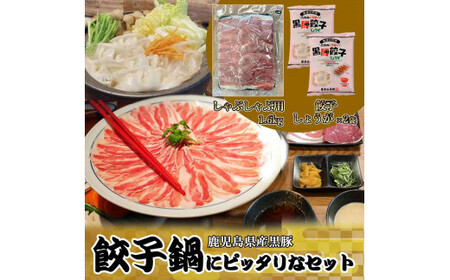 鹿児島県産黒豚 餃子鍋にピッタリなセット(しょうが) 合計約2kg