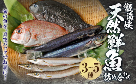 [配送指定日必須]甑海峡 天然鮮魚詰め合わせセット