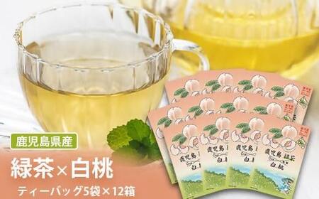 AS-348 t[o[eB[yΒz12