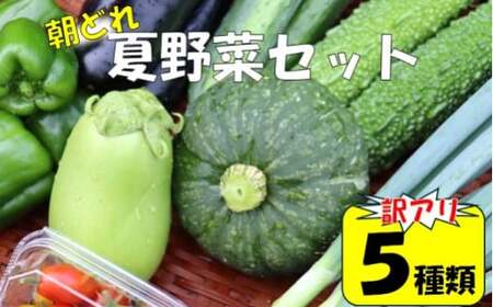 [訳アリ][朝どれ]アグリ福ちゃん 夏野菜セット(5種類)