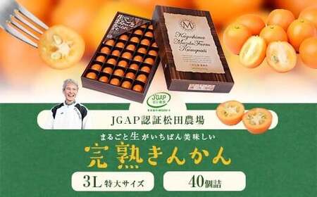 松田農場のJGAP認証鹿児島県産きんかん 3L級40個詰[2024年12月上旬~2025年2月下旬発送]