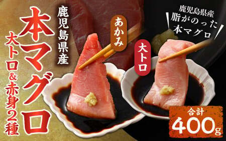 鹿児島県産本マグロ 大トロ&赤身セット 合計400g 本マグロ 大トロ 赤身 刺し身 セット 魚