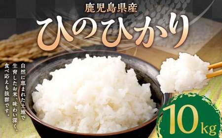 [新米先行予約][KODAMAFARMS]鹿児島県産 ひのひかり 10kg(5kg×2袋) KODA米 米 新米 精米 白米 お米 [2026年1月下旬以降順次発送]BS-642