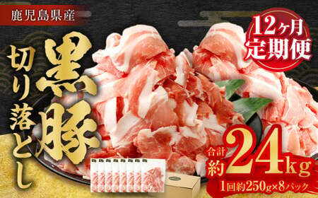 JSR-415 y12ցzY eʏpbN؂藎Ƃ v24kgi2kg×12j  ؐ؂藎Ƃ ؂藎Ƃ ؓ Ef 