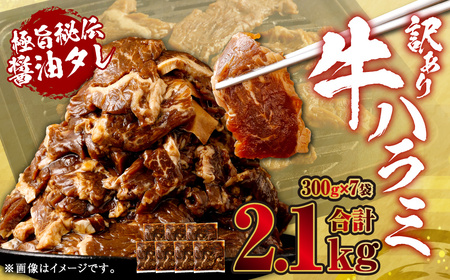 炩 n~iTKj Ɏ|`ݖ^Ђ v2.1kgi300g×7܁jy󂠂zn~  AS-578